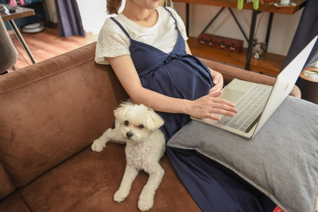 妊婦さんとパソコン